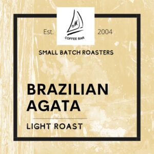Brazil Agata